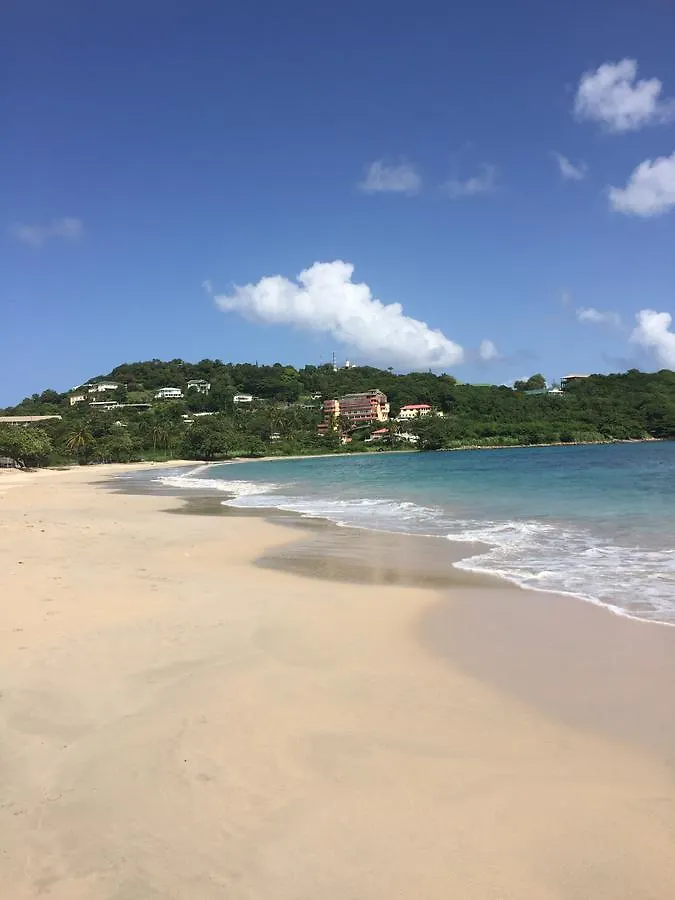 Serenite Vigie Saint Lucia Limited Acomodação com café da manhã Castries